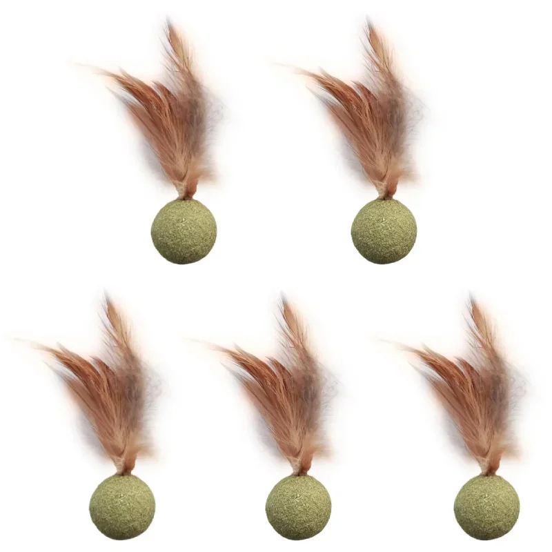 Catnip Toys - Pet Catnip Toys Edible Catnip Ball
