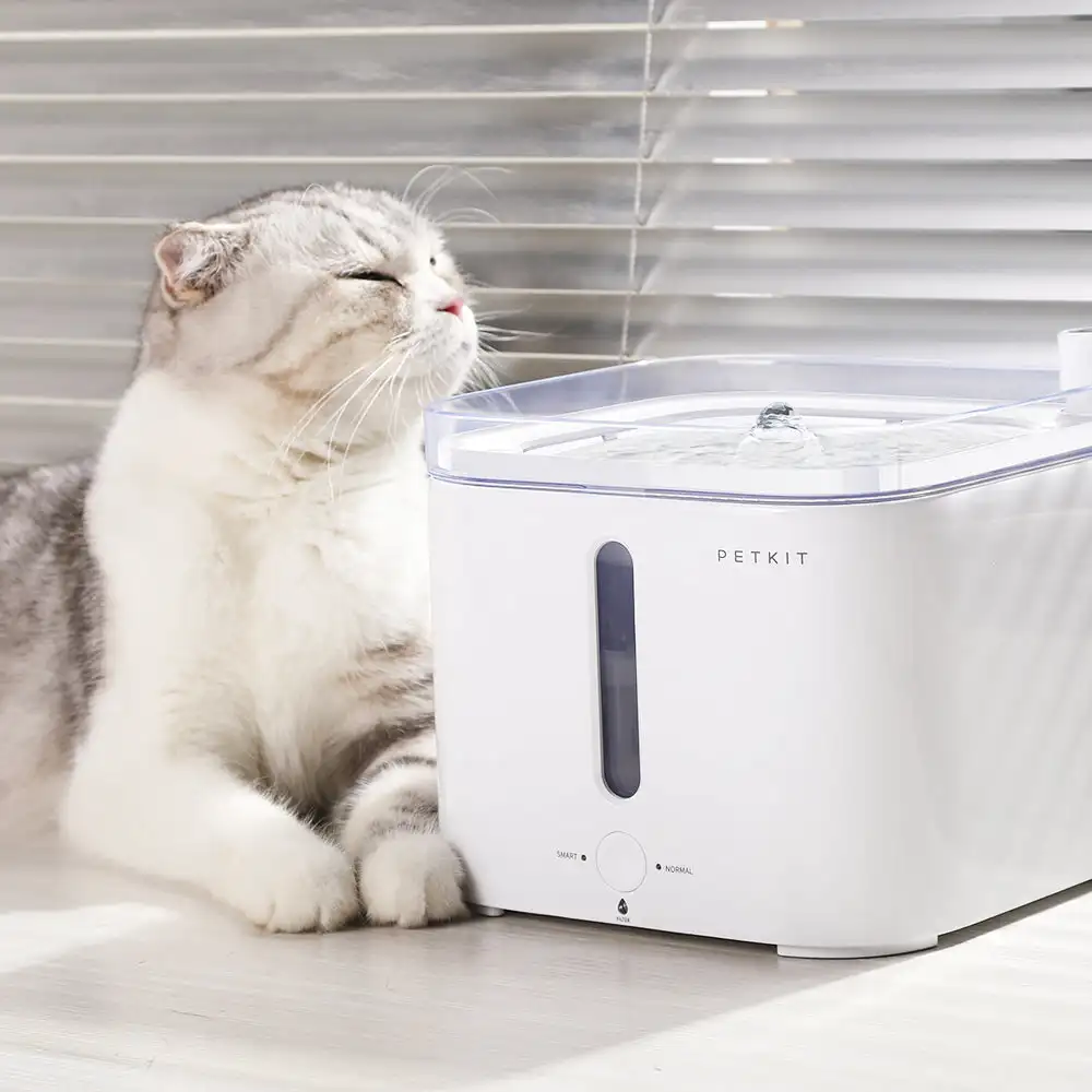 CANBOUN EVERSWEET Series Pet S - Automatic Pet Feeder recension och pris