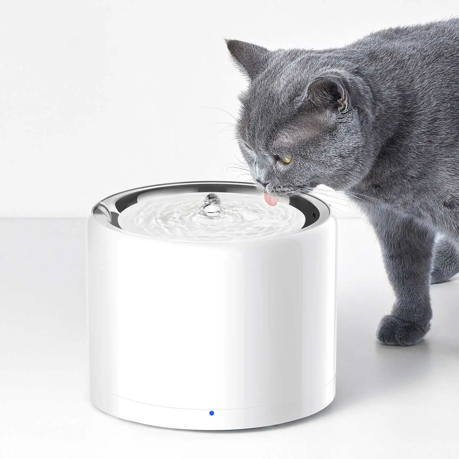 CANBOUN EVERSWEET Series Pet S - Automatic Pet Feeder recension och pris