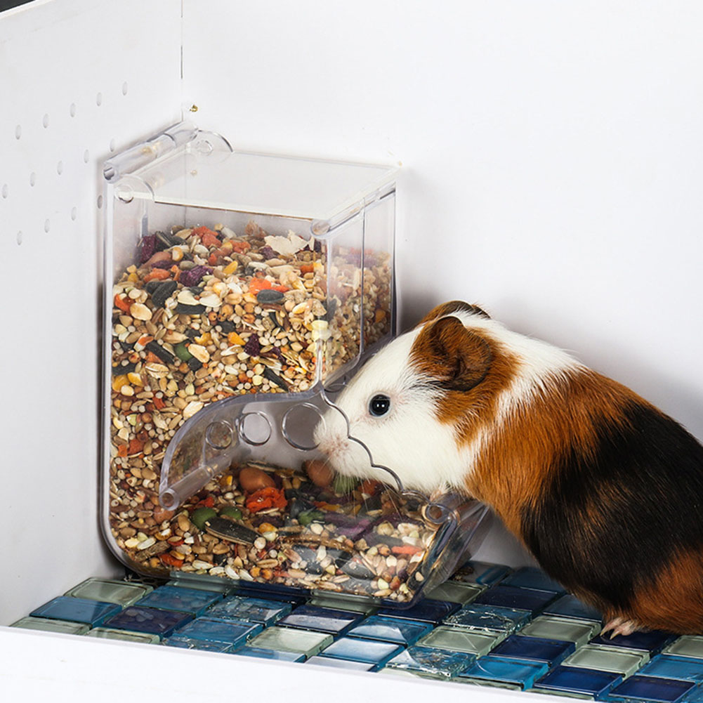  2-1PCS Cute Hamster Samll An - Automatic Pet Feeder recension och pris