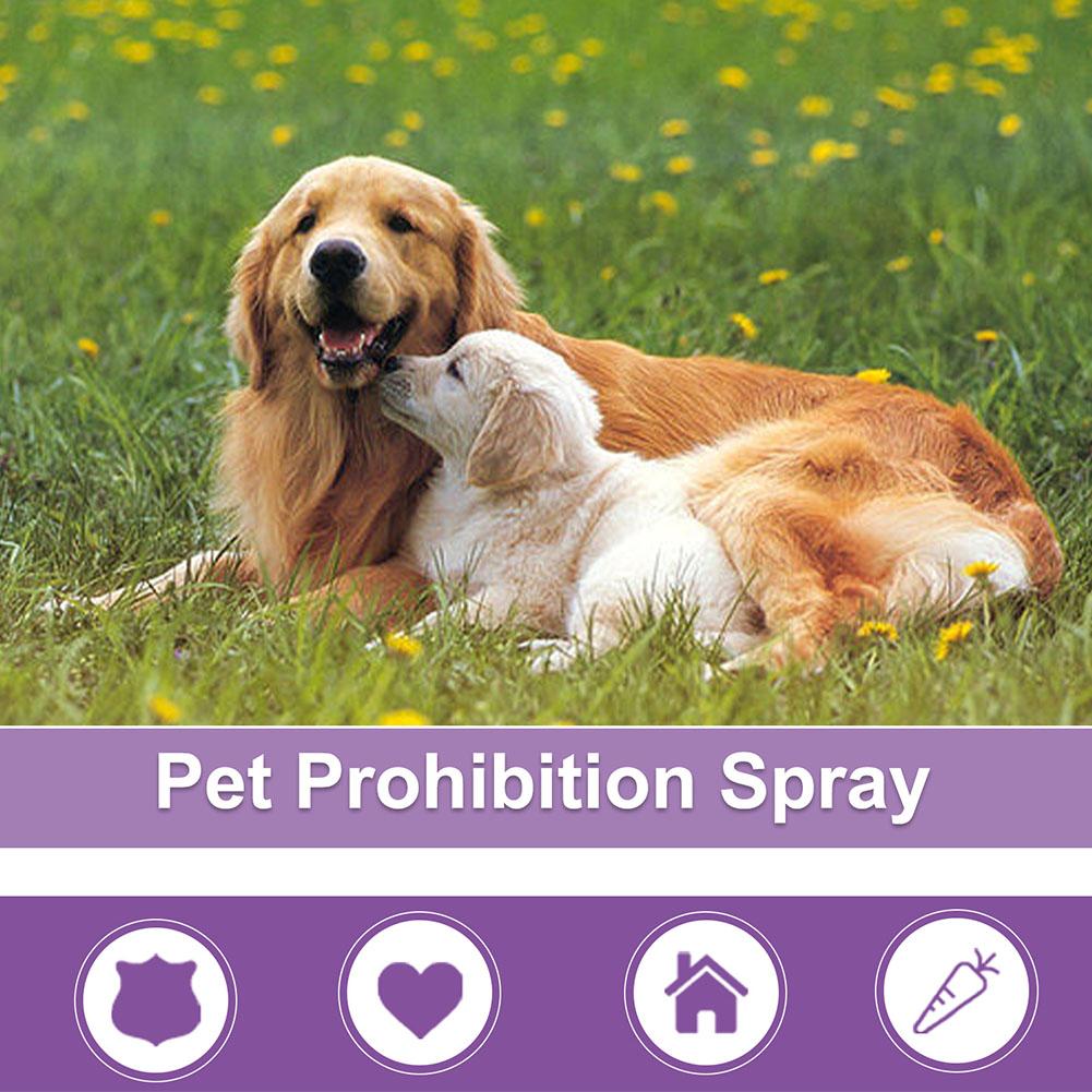 Pet Calming Spray Pet Supplies - Pet Supplies App recension och pris