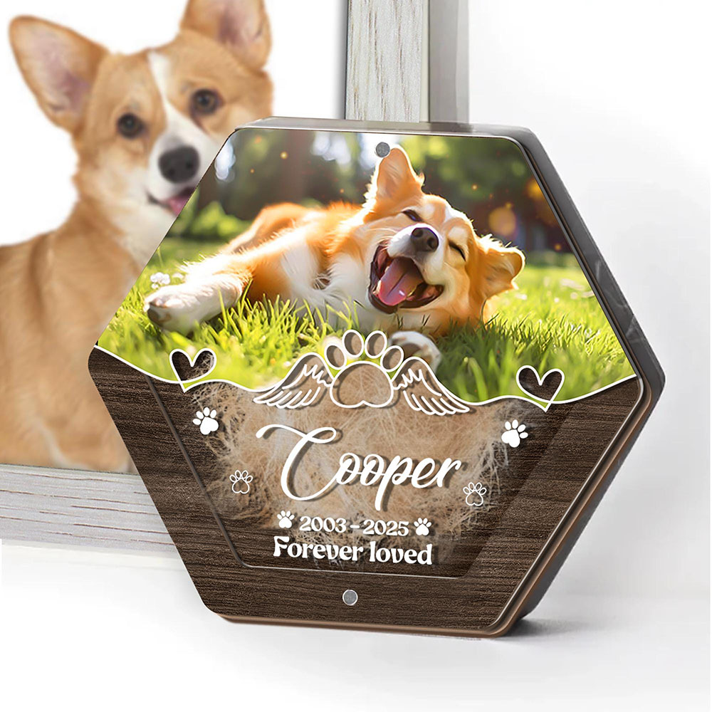Personalized Name Wooden Carvi - Pet Supplies App recension och pris
