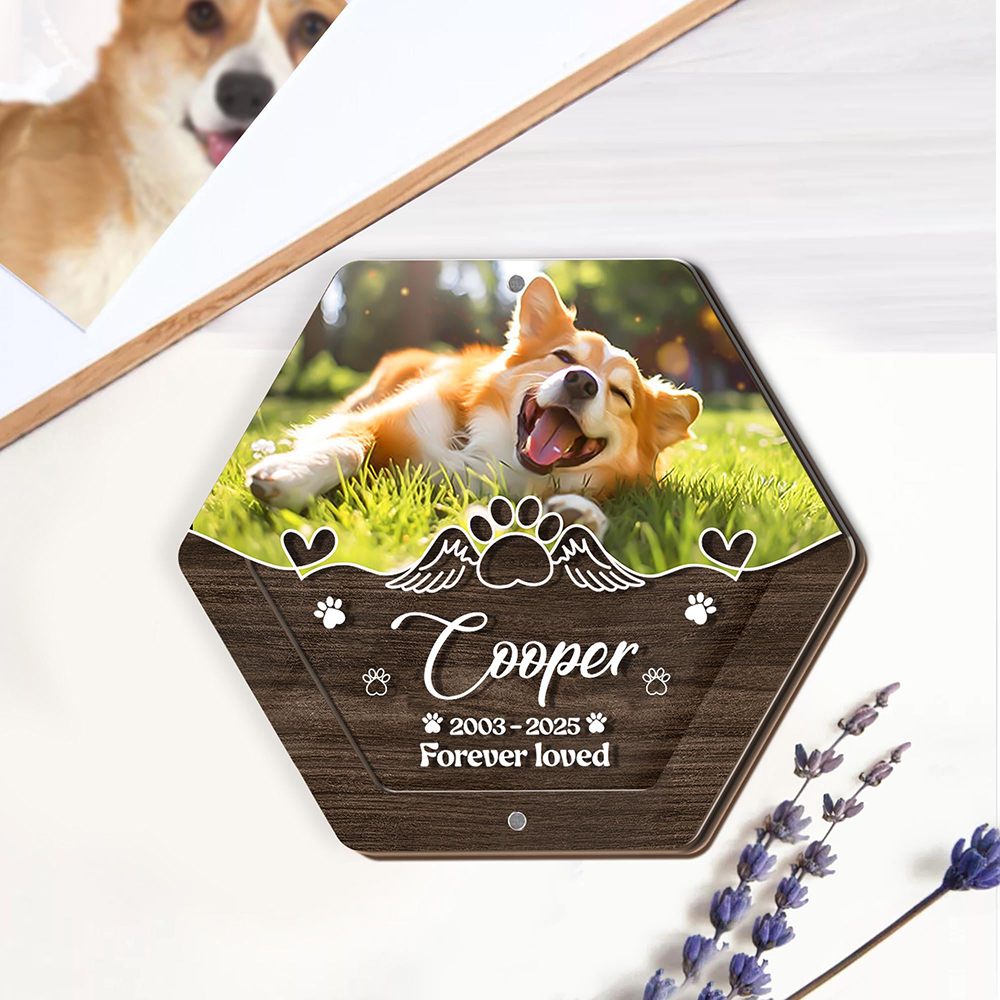 Personalized Name Wooden Carvi - Pet Supplies App recension och pris