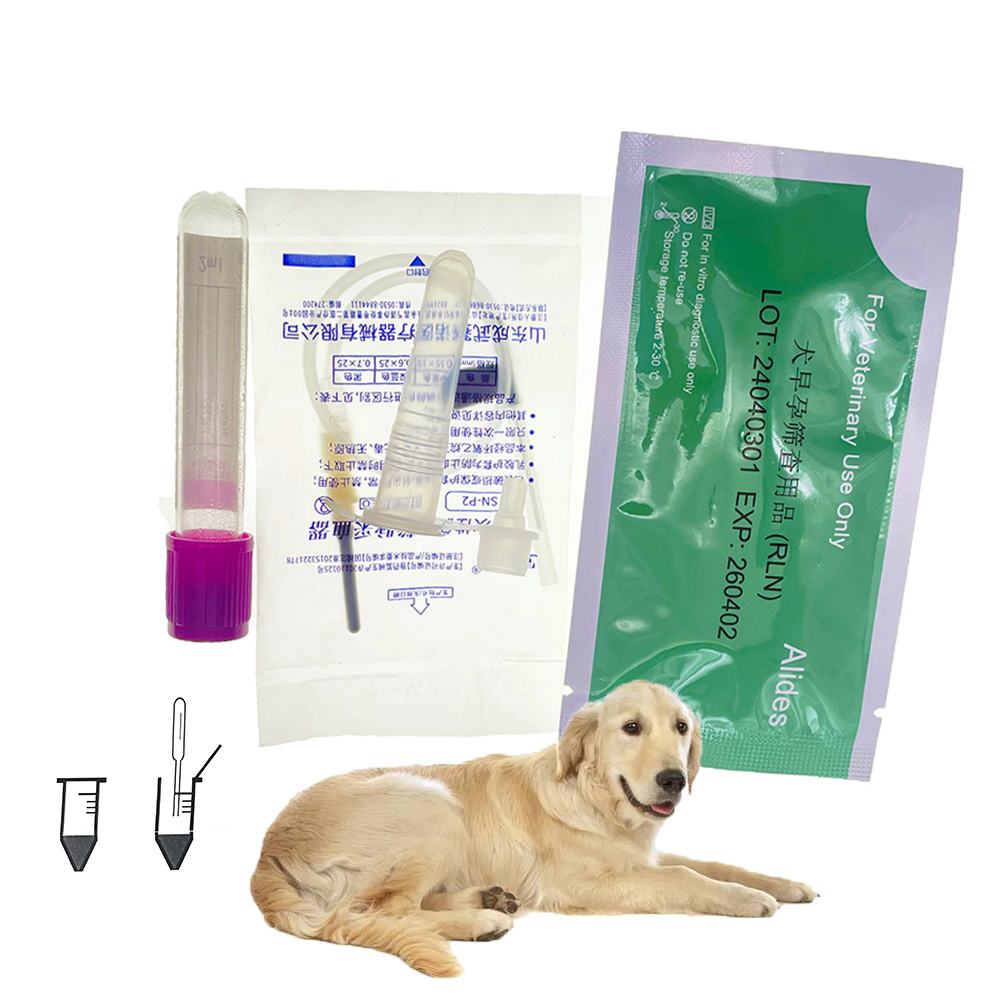 1set/5set Professional Pet Dog - Pet Supplies App recension och pris