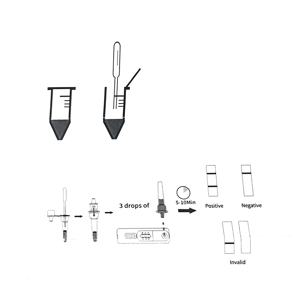 1set/5set Professional Pet Dog - Pet Supplies App recension och pris