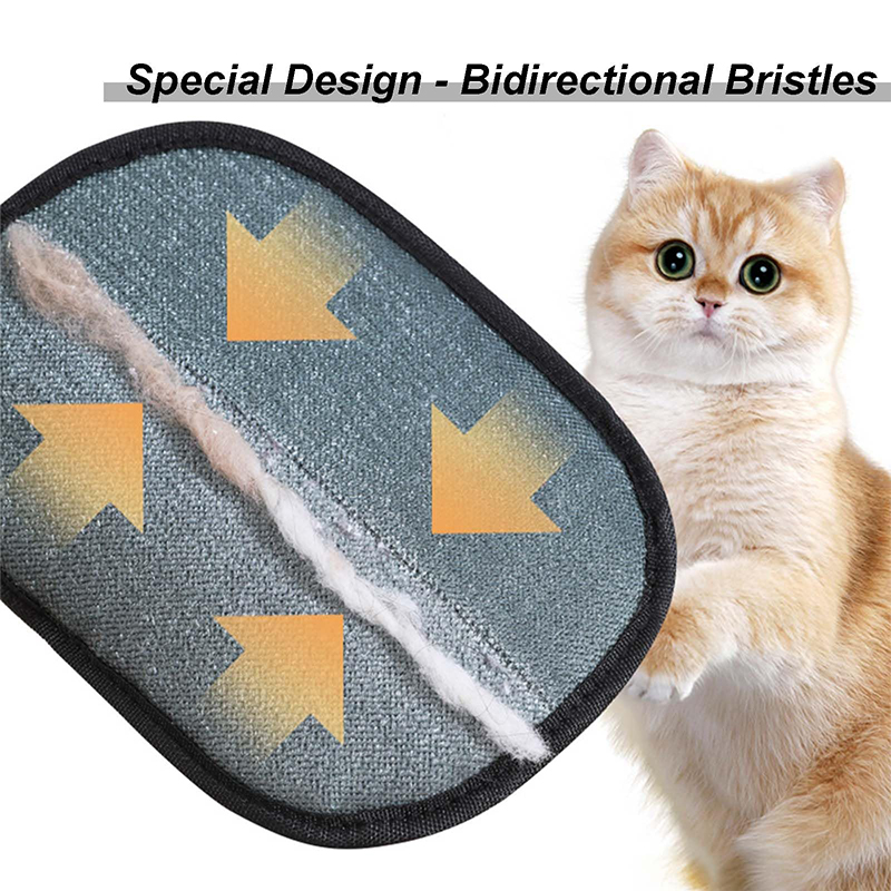 New Electrostatic Pet Grooming - Pet Supplies App recension och pris
