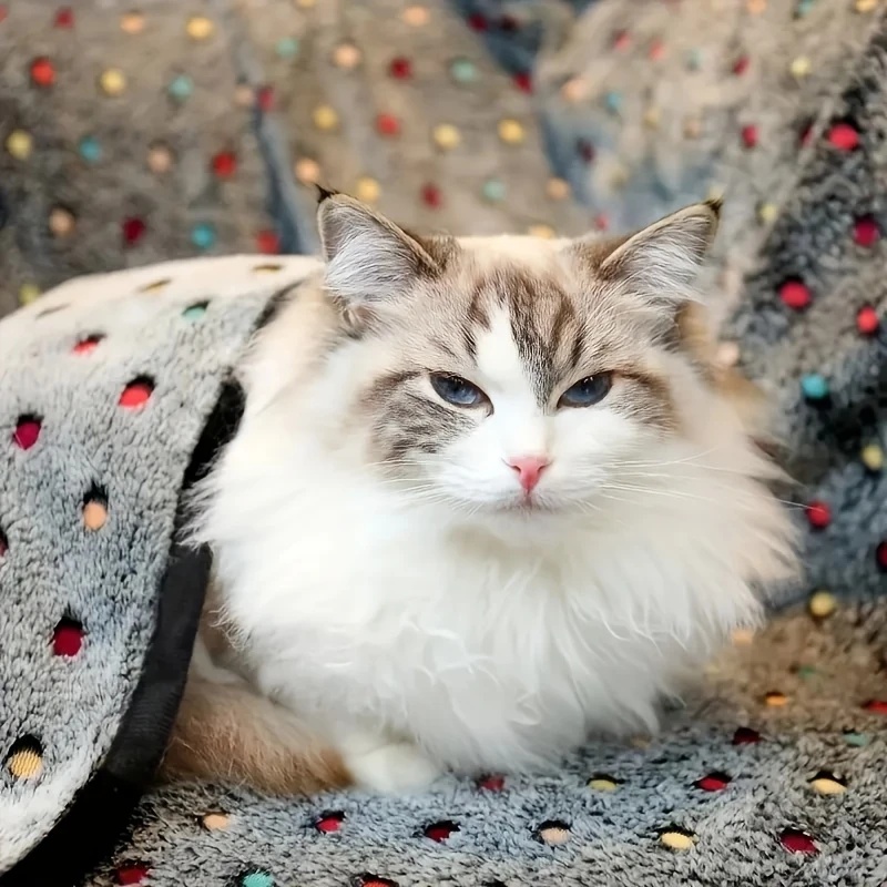 3PCS Soft Fluffy Pet Blanket C - Pet Supplies App recension och pris