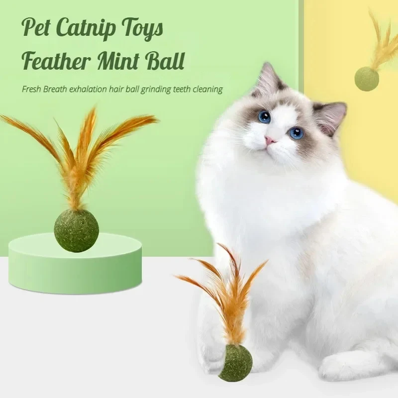 Pet Catnip Toys Edible Catnip  - Catnip Toys recension och pris