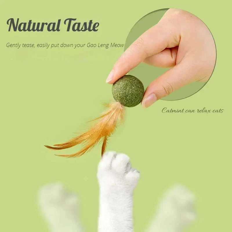 Pet Catnip Toys Edible Catnip  - Catnip Toys recension och pris