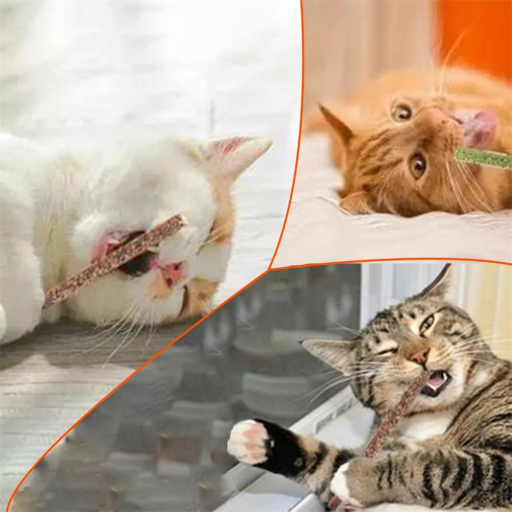 6pcs Natural Matatabi Cat Stic - Catnip Toys recension och pris